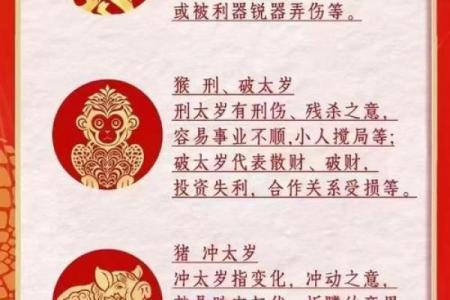 木命生辰的运势和发展方向