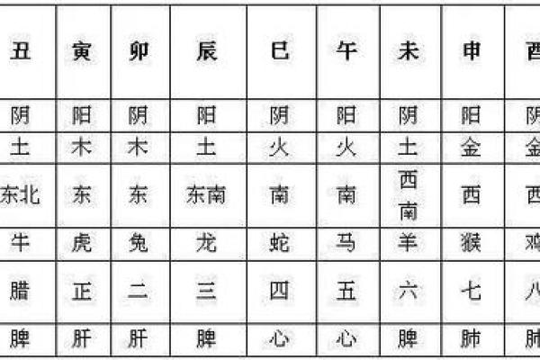 赤字五行是什么?了解它对命运的深远影响 赤字五行是什么?了解它对命运的深远影响