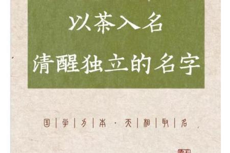 茶叶公司起名必备要素：如何选出一个响亮有力的名字