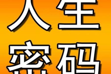 八字英文解析：从命理看你的事业与财富走向
