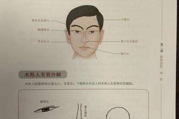 什么年龄段的人属于木命?解析木命的出生年份与命理特征 什么年龄段的人属于木命?解析木命的出生年份与命理特征