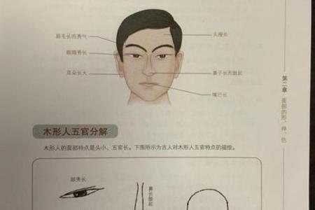 什么年龄段的人属于木命？解析木命的出生年份与命理特征
