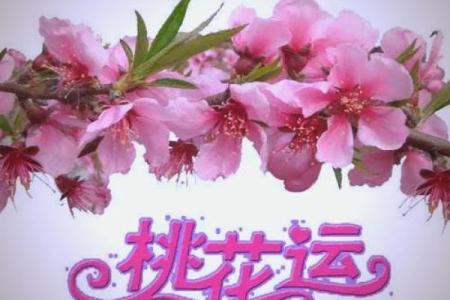 男命双桃花揭秘：爱情中的迷人与挑战