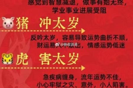 从生辰八字看你的财富运，别再错过这份财富密码