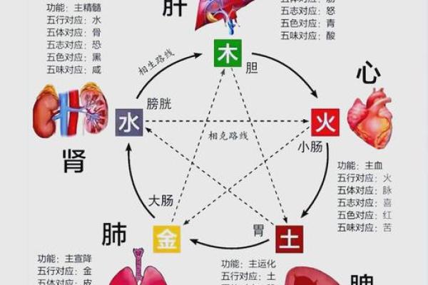 曹五行属什么?揭秘曹五行背后的奥秘 曹五行属什么?揭秘曹五行背后的奥秘