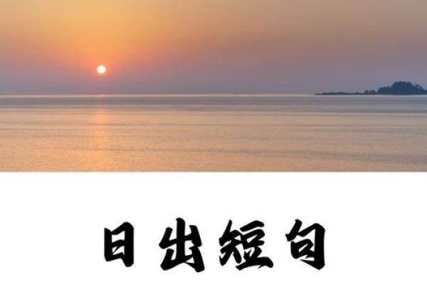 晨光映照未来:带晨字的公司名字创意大全 晨光映照未来:带晨字的公司名字创意大全