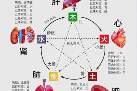 曹五行属什么？揭秘曹五行背后的奥秘