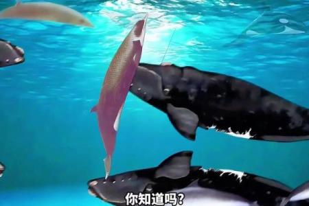 从科学到神话：鲸鱼名字的多重含义