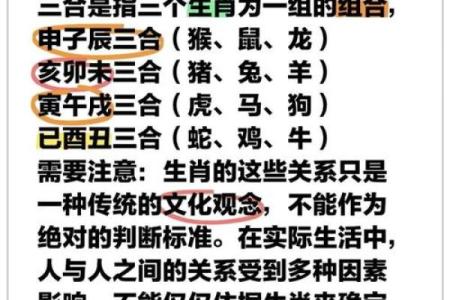 八字合与冲的深层解读：如何影响你的命运运势