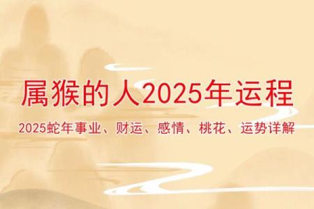 男命双桃花，如何掌控感情中的波动与冲突