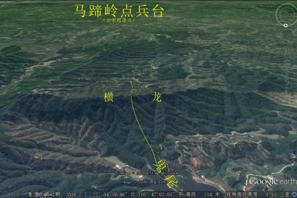 本地姜在风水中的独特能量解析 本地姜在风水中的独特能量解析