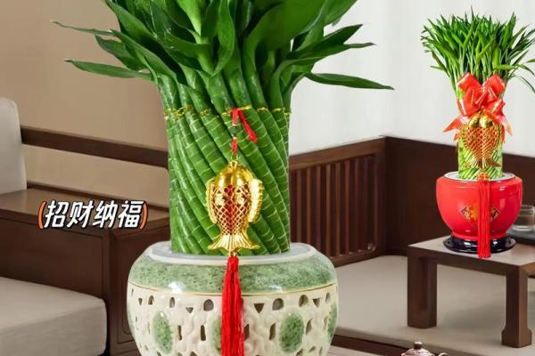 办公室布局与风水:富贵竹助力职场成功 办公室布局与风水:富贵竹助力职场成功