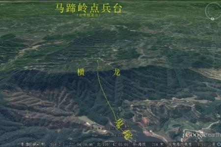 本地姜在风水中的独特能量解析