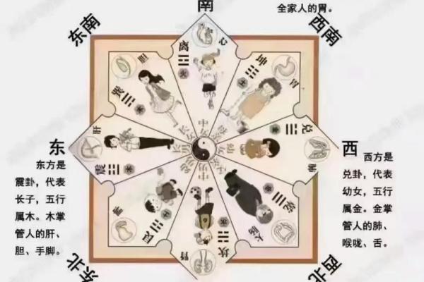 北面办公室风水布局与提升事业运势的秘笈 北面办公室风水布局与提升事业运势的秘笈