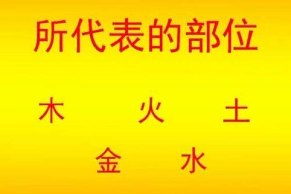 五行之中贱的定位:从金木水火土看贱的内涵 五行之中贱的定位:从金木水火土看贱的内涵