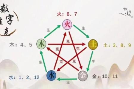 传字的五行属性解析，了解它对命运的影响
