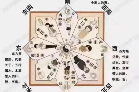 北面办公室风水布局与提升事业运势的秘笈