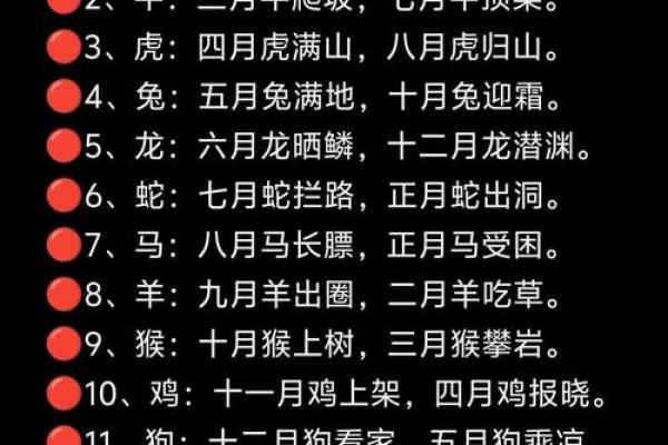 生肖运程解析,揭示未来一年的运势变化 生肖运程解析,揭示未来一年的运势变化
