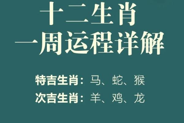 十二生肖今日运势指南:事业、财运、感情全盘托出 十二生肖今日运势指南:事业、财运、感情全盘托出