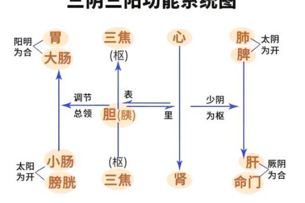 三阴一阳八字解析:揭开命运的神秘面纱! 三阴一阳八字解析:揭开命运的神秘面纱!