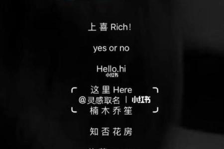 从创意到实践：商业名字的命名技巧