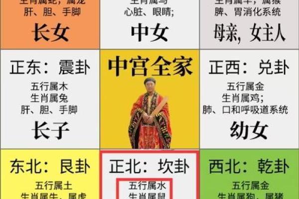 鼠生肖每月运势预测,助你规划每月人生方向 鼠生肖每月运势预测,助你规划每月人生方向