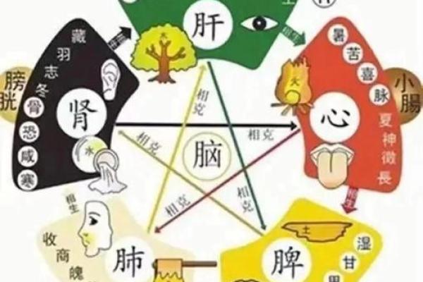 八字病的真正原因是什么?如何通过八字调理健康 八字病的真正原因是什么?如何通过八字调理健康