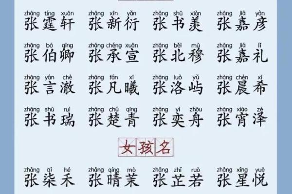 宝宝起名字免费大全，让您的孩子与众不同