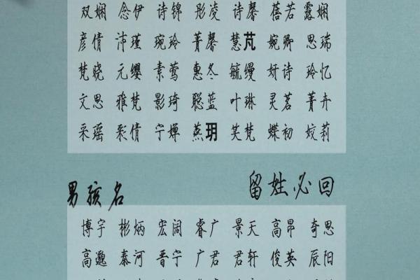 如何为猴宝宝挑选合适的名字