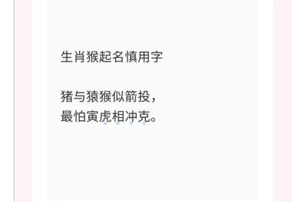 如何为猴宝宝挑选合适的名字