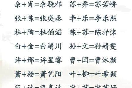 给鸡宝宝起名的创意灵感和实用方法