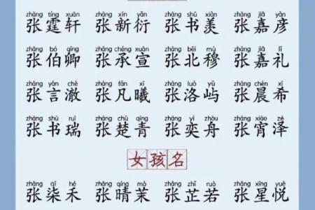 宝宝起名字免费大全，让您的孩子与众不同