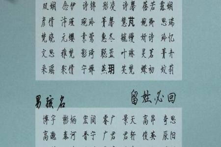 如何为猴宝宝挑选合适的名字