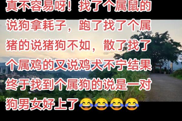 属鼠男和属狗女的婚姻缘分 是否能长久 属鼠男和属狗女的婚姻缘分 是否能长久