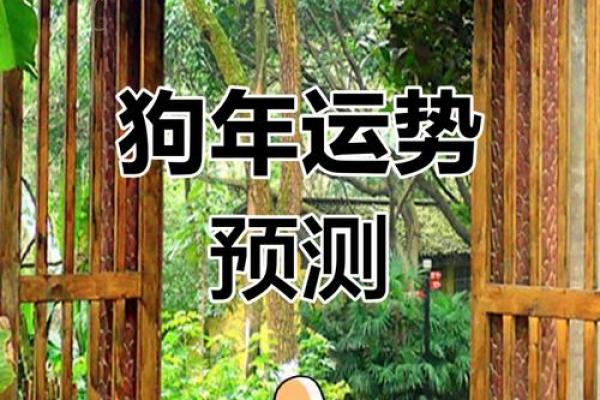 出生的狗一生运势如何 出生的狗一生运势如何