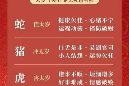 本命年对蛇女的事业发展的影响