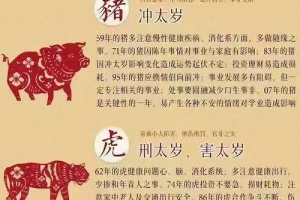 本命年蛇男的幸运色与数字是什么 本命年蛇男的幸运色与数字是什么