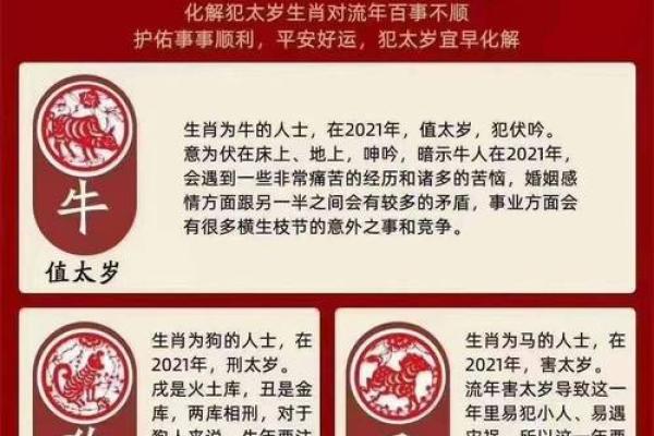 本命年蛇男的幸运色与数字是什么 本命年蛇男的幸运色与数字是什么