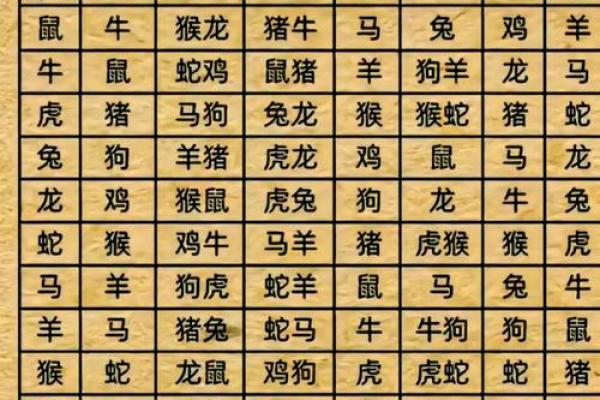 女虎男马合适吗?看看生肖组合如何影响感情 女虎男马合适吗?看看生肖组合如何影响感情