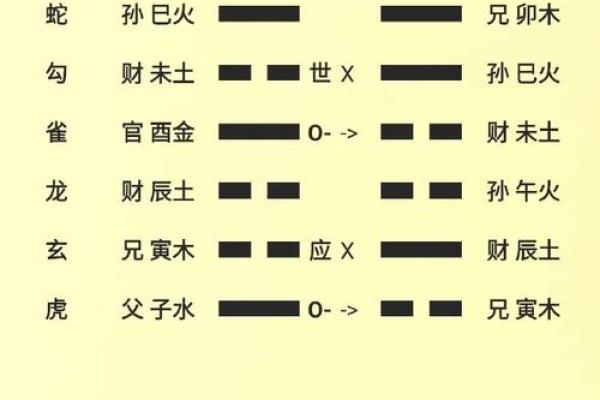 从八字到卦象:简单步骤教你精准预测未来 从八字到卦象:简单步骤教你精准预测未来