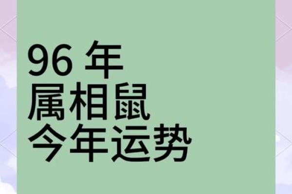 属鼠本命年如何把握感情机会 属鼠本命年如何把握感情机会
