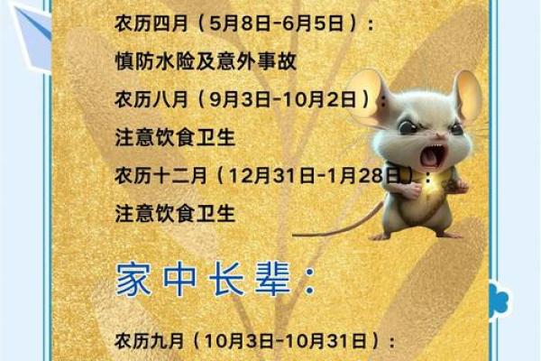 属鼠本命年如何把握感情机会 属鼠本命年如何把握感情机会