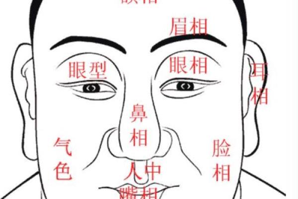 半月命与人生运势的关系揭秘 半月命与人生运势的关系揭秘