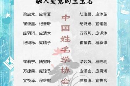 出生宝宝取名推荐与大全分析