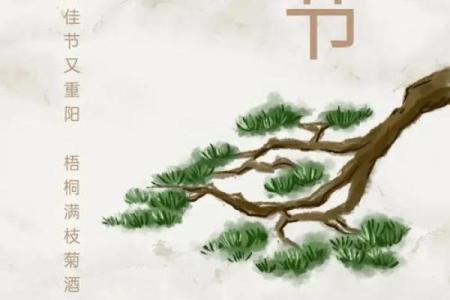 九月十五，传承千年的节日有哪些文化内涵