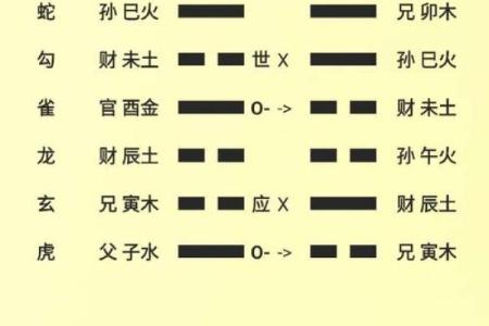 从八字到卦象：简单步骤教你精准预测未来