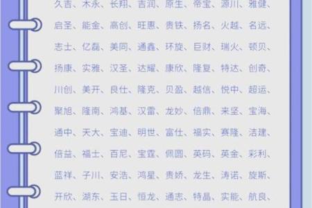 创意与实用兼备 装饰材料公司命名灵感解析