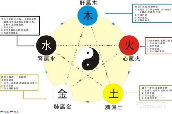 从八字看命中缺水的深层原因 从八字看命中缺水的深层原因