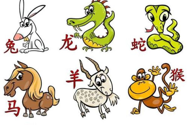 生肖鼠与五行相生相克的奥秘