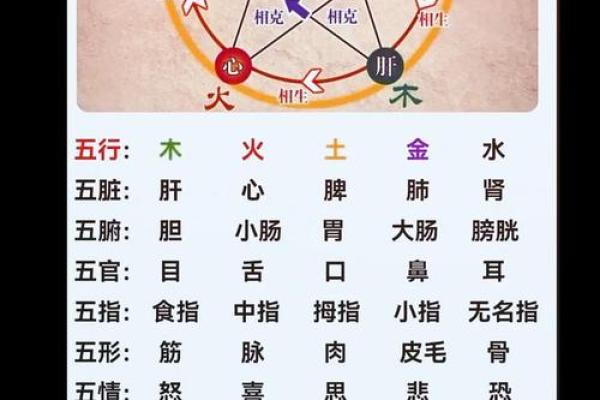 超五行属性揭秘:你知道自己属于哪种属性吗? 超五行属性揭秘:你知道自己属于哪种属性吗?